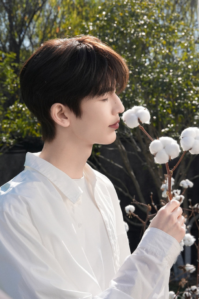 张凌赫纯棉质感居家男友 张凌赫静享自在时光 张凌赫静享自在时光，张凌赫纯棉质感居