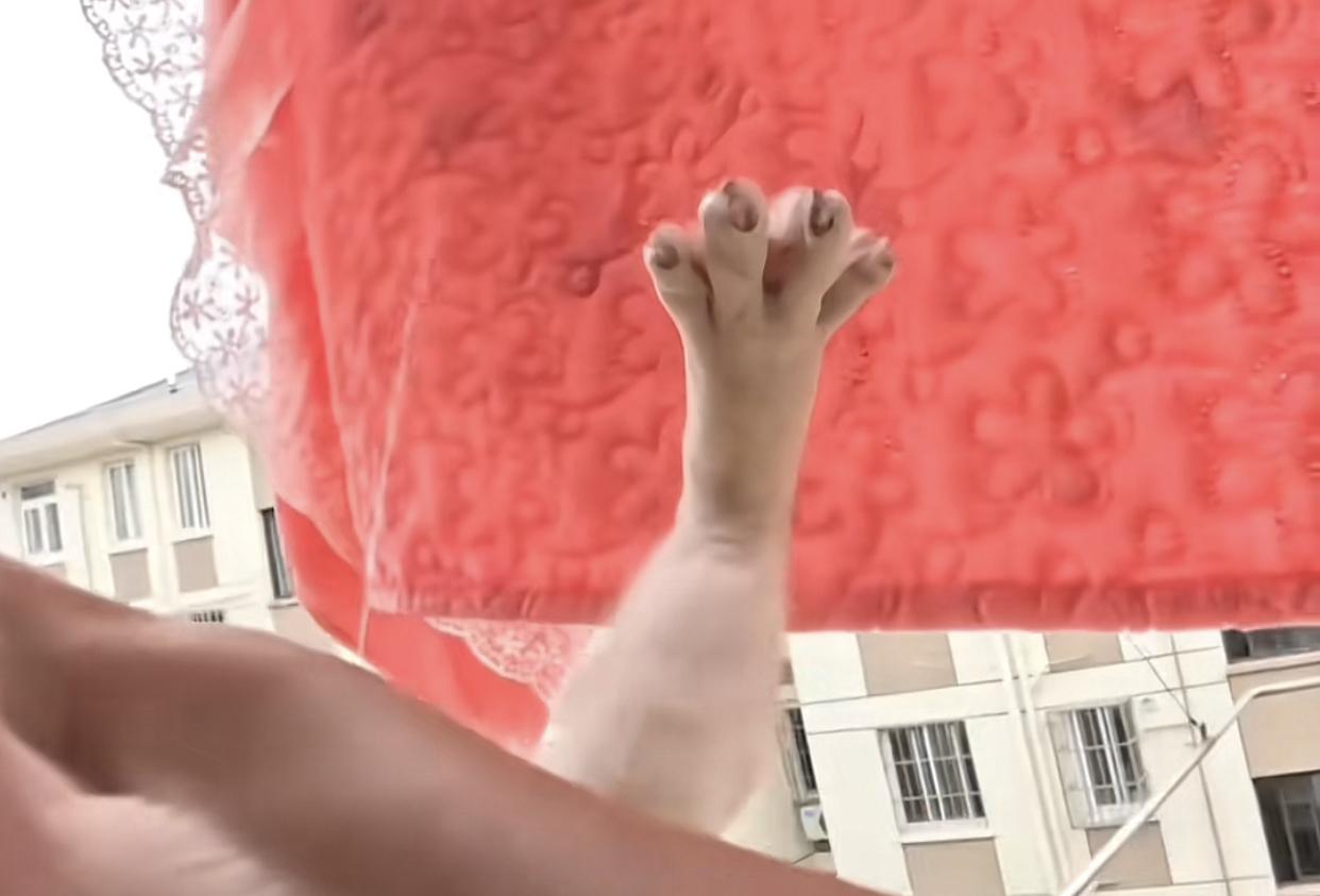 小猫也没想到自己这技能还能派上这用场。
起因是博主家楼上的邻居没事就爱把被子挂到