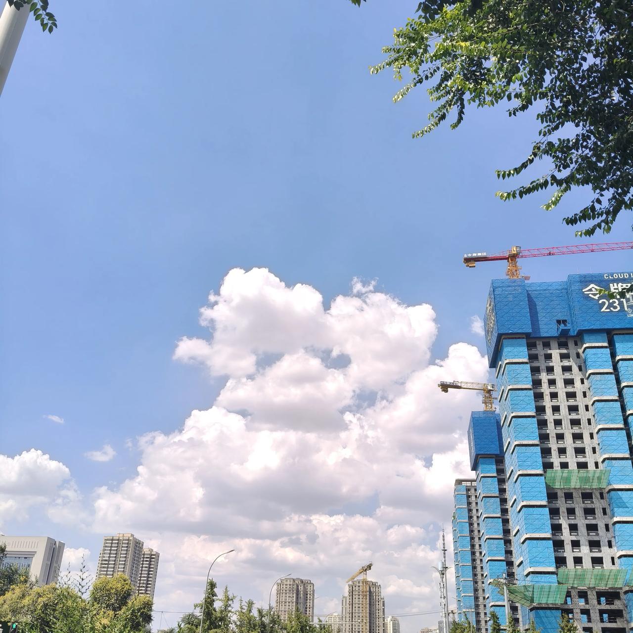 总以为时间很慢，可今天就是立秋了，你说什么叫来日方长