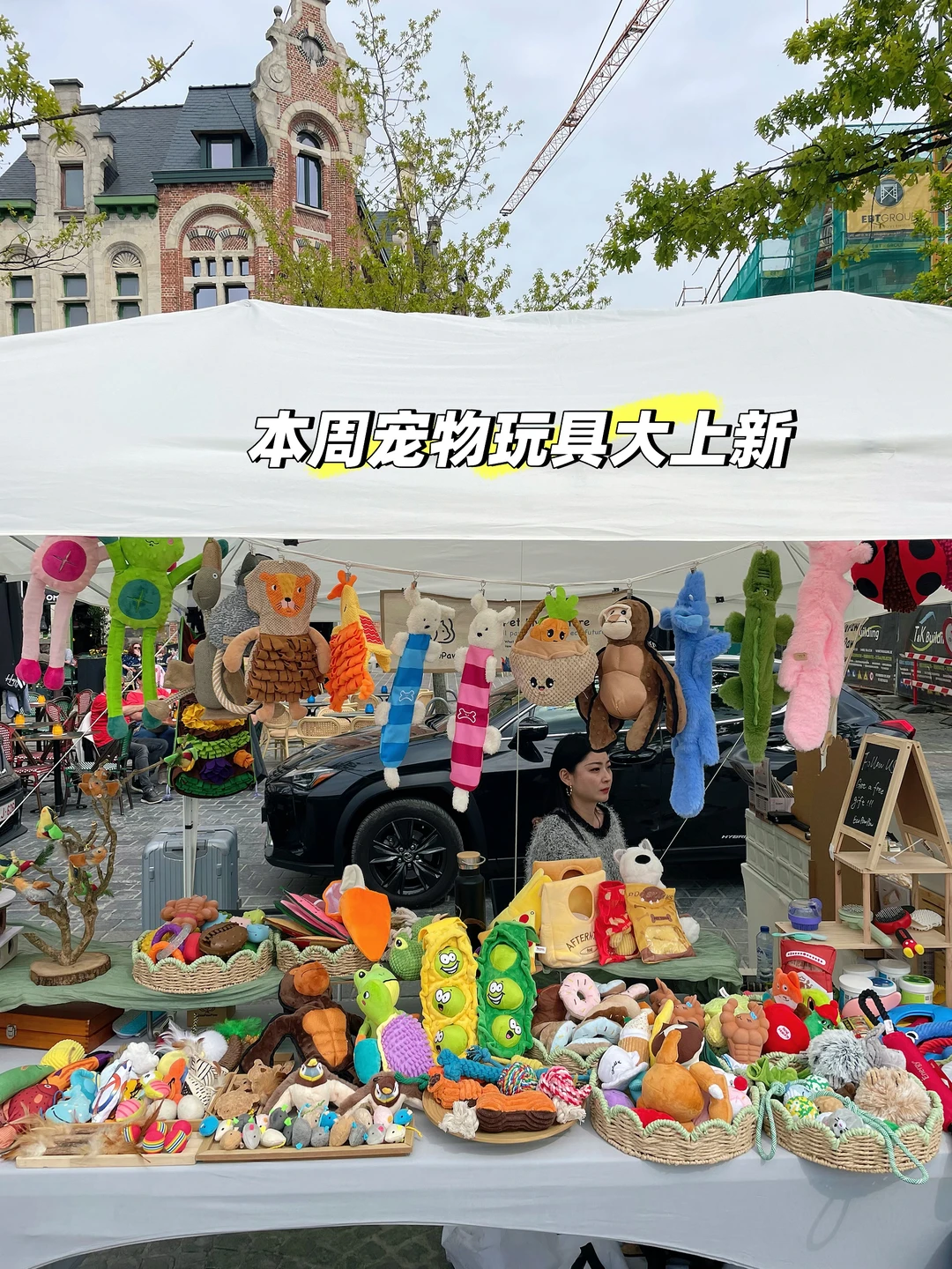 比利时🇧🇪宠物赛道创业｜本周玩具大上新
