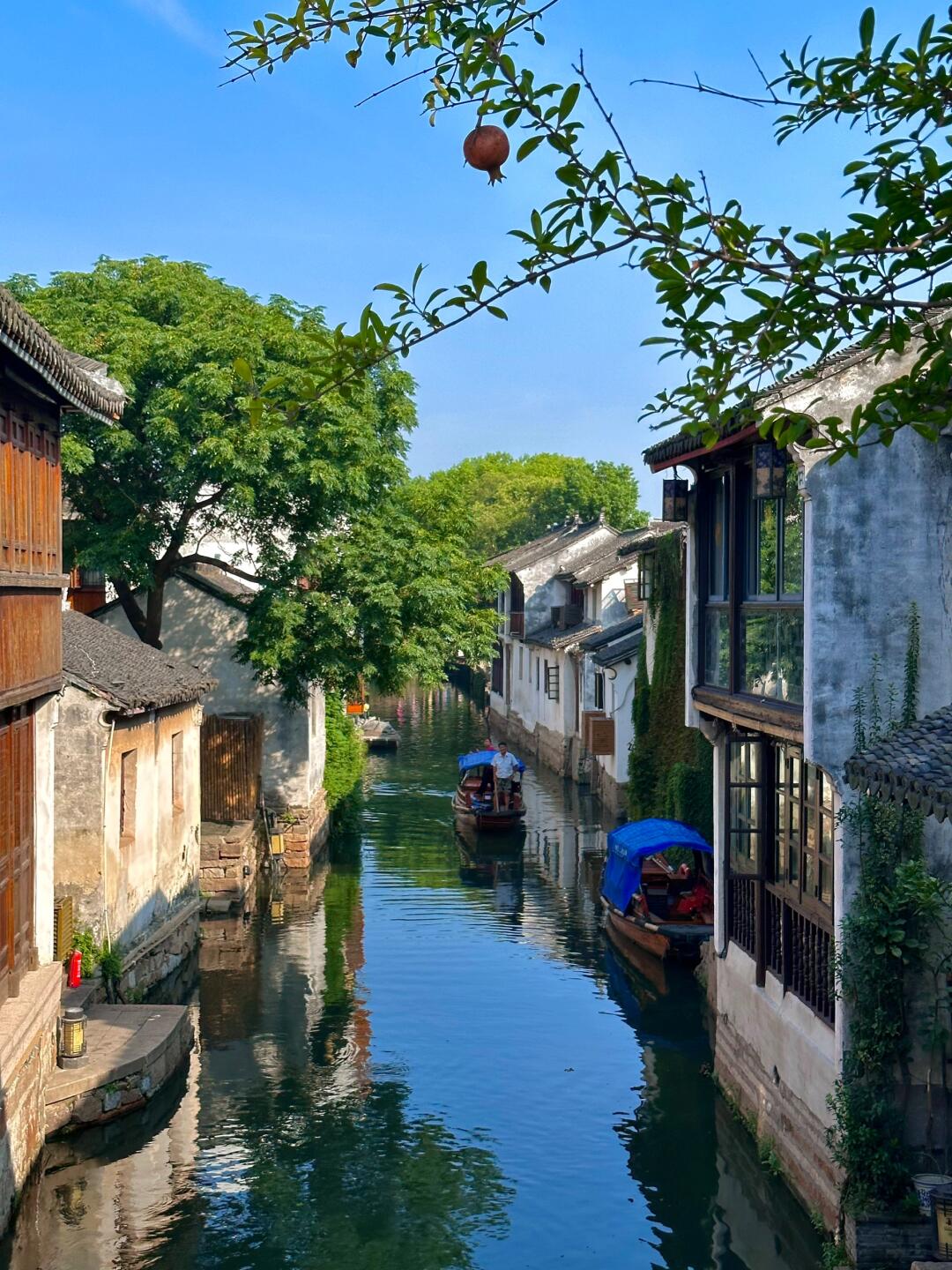秋光正好，何不动身下江南
