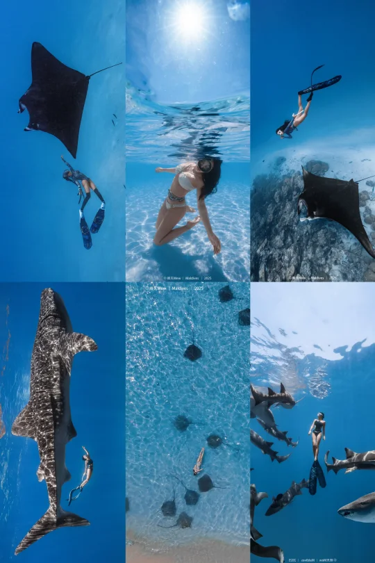 在马代潜水🌊只有0次和无数次❗️