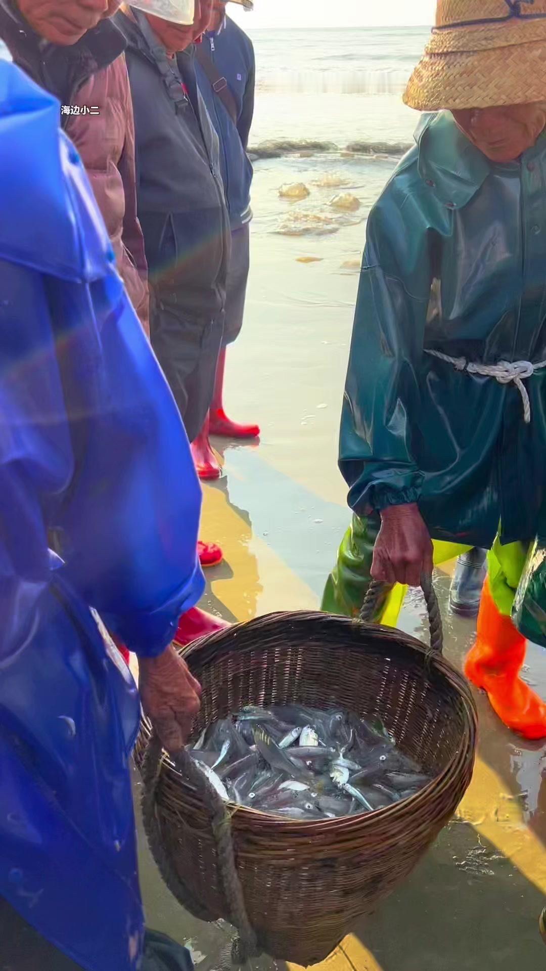 在渔村海边真的惊到了！鱿鱼只要15元一斤，摊主喊价十分实在，说比猪肉还划算，买上