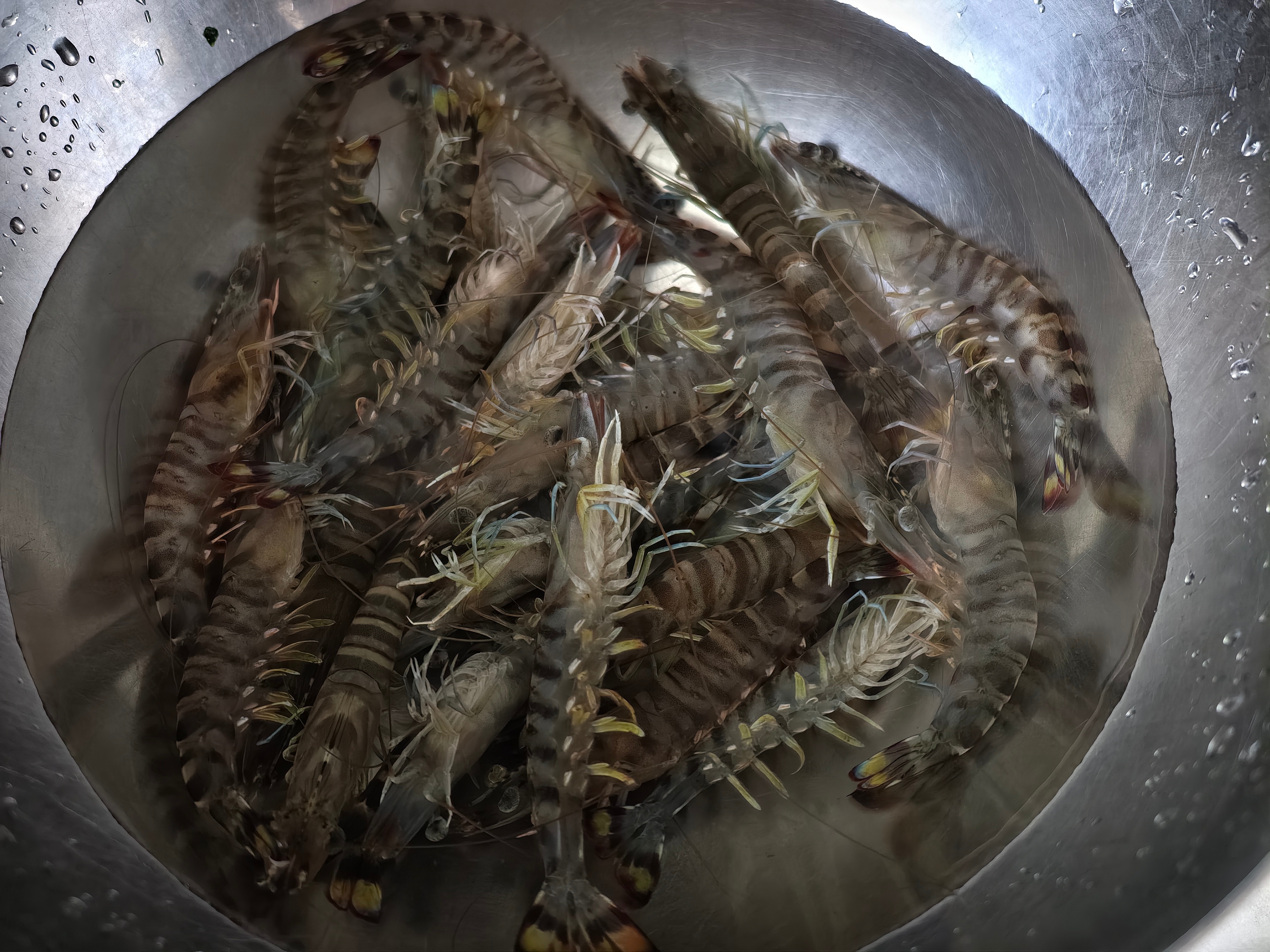 今天厉害了！骑行21公里，用时近两小时。回来时顺便到超市买菜，骑行过后食欲大涨，