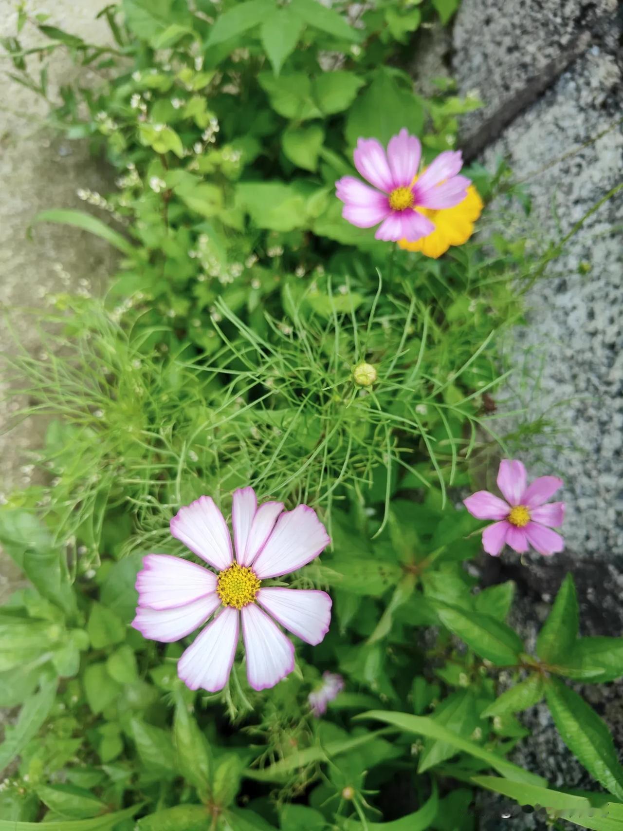 山河岁月长，不如守一窗灯火，与一人共老