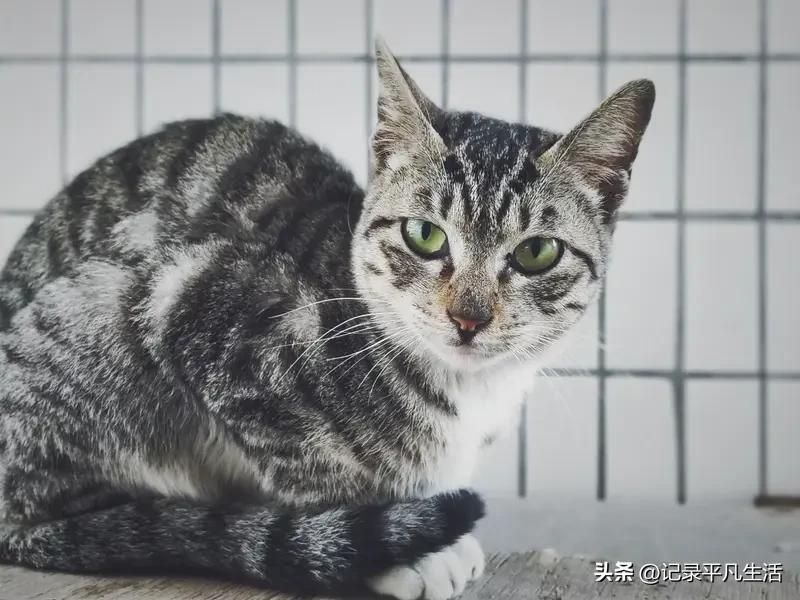 真的，生活里的小趣事，
比刷手机还治愈。
 
早上出门太急，
迷迷糊糊穿错了袜子