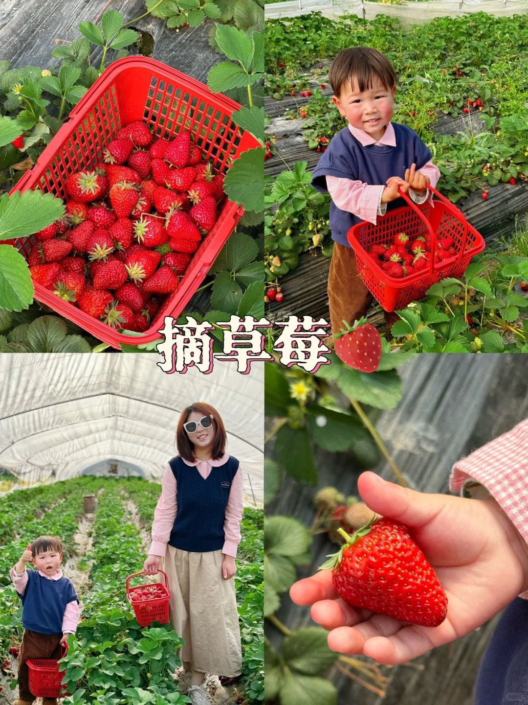 带2岁宝宝去草莓园怎么拍照？｜附拍照技巧📷
