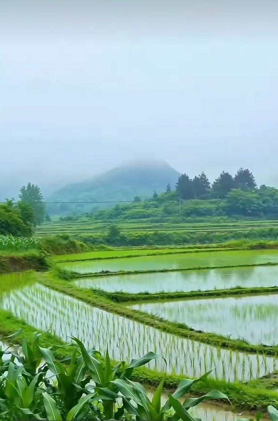 人工智能在县域空间的落地生根，绝非简单的算法移植，其首要命脉在于获取足量、真实、