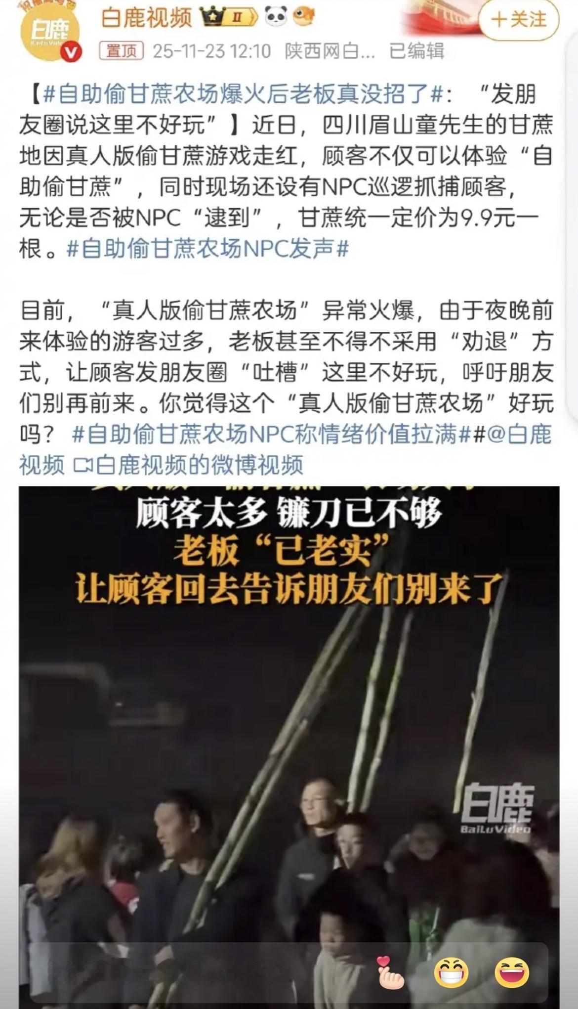 真人版“偷甘蔗”也太会玩了吧！9.9元就能在田间和NPC躲猫猫，把砍甘蔗玩成“农