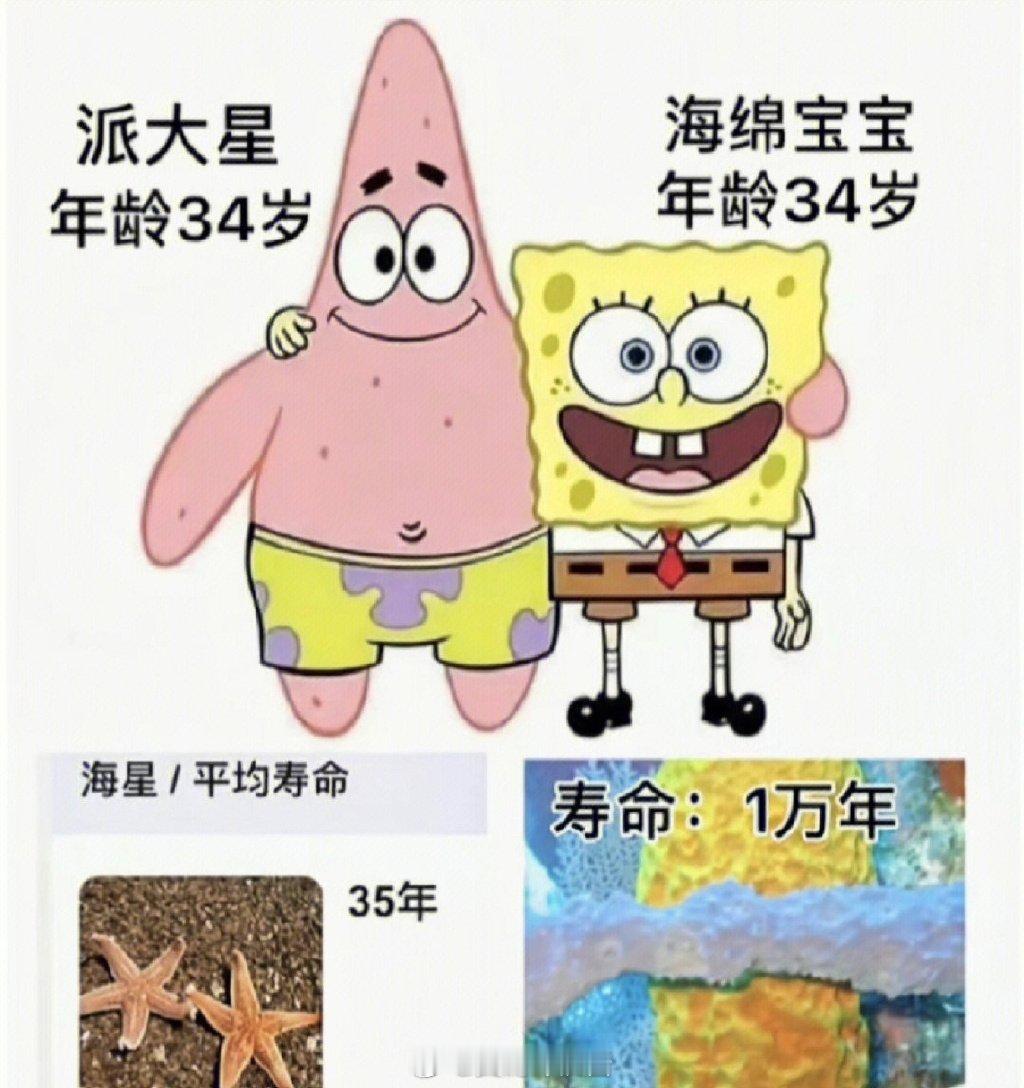 派大星傻是因为老年痴呆，海绵宝宝傻是因为年少无知……​​​#夏日次元盛典##热游