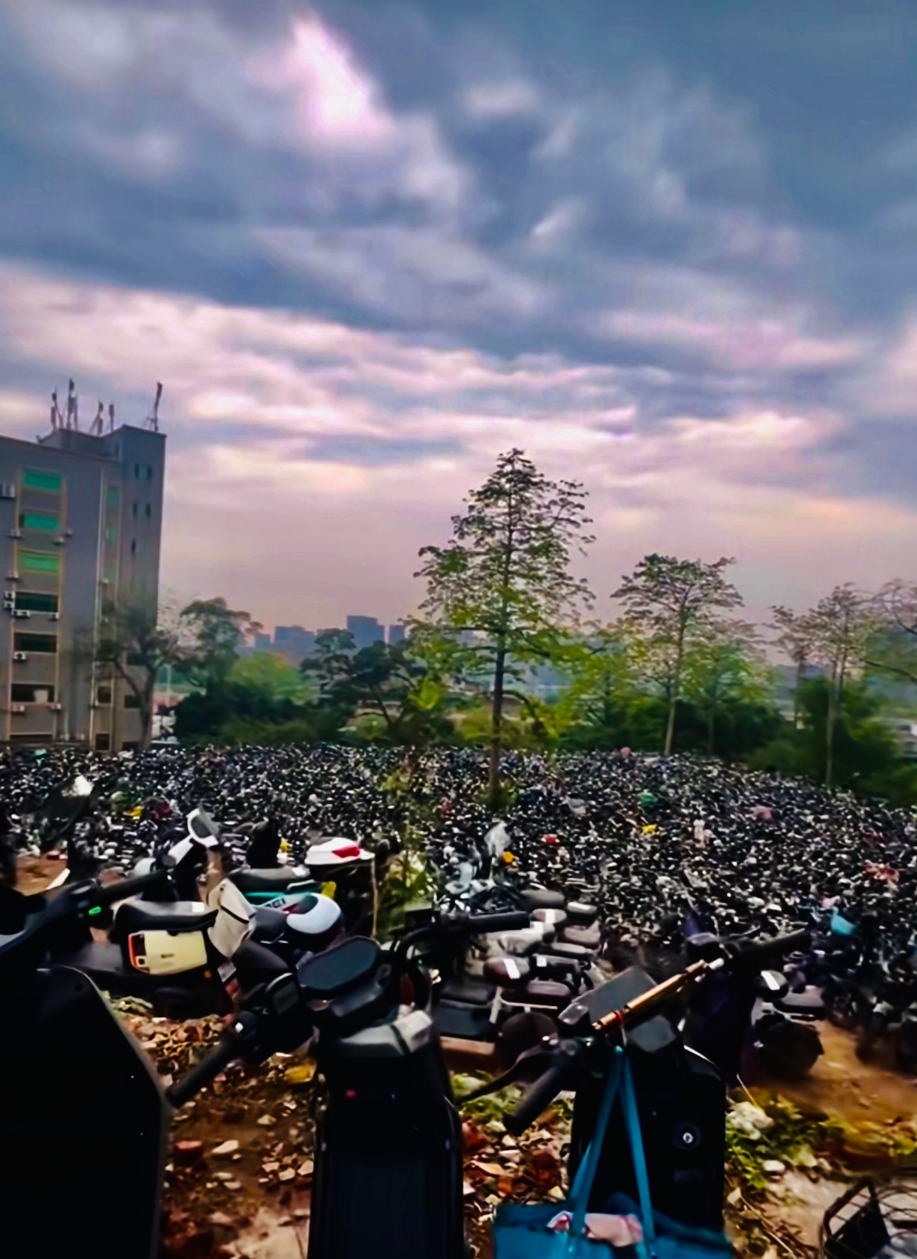 在茫茫车海中寻找，属于我的那一辆小电驴。你们把这么多车拖走都弄哪了？ 