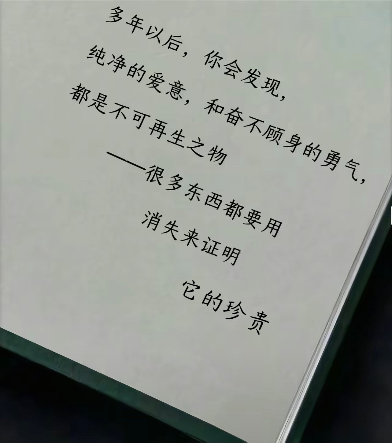 多年以后，你会发现，纯净的爱意，和奋不顾身的勇气，都是不可再生之物       