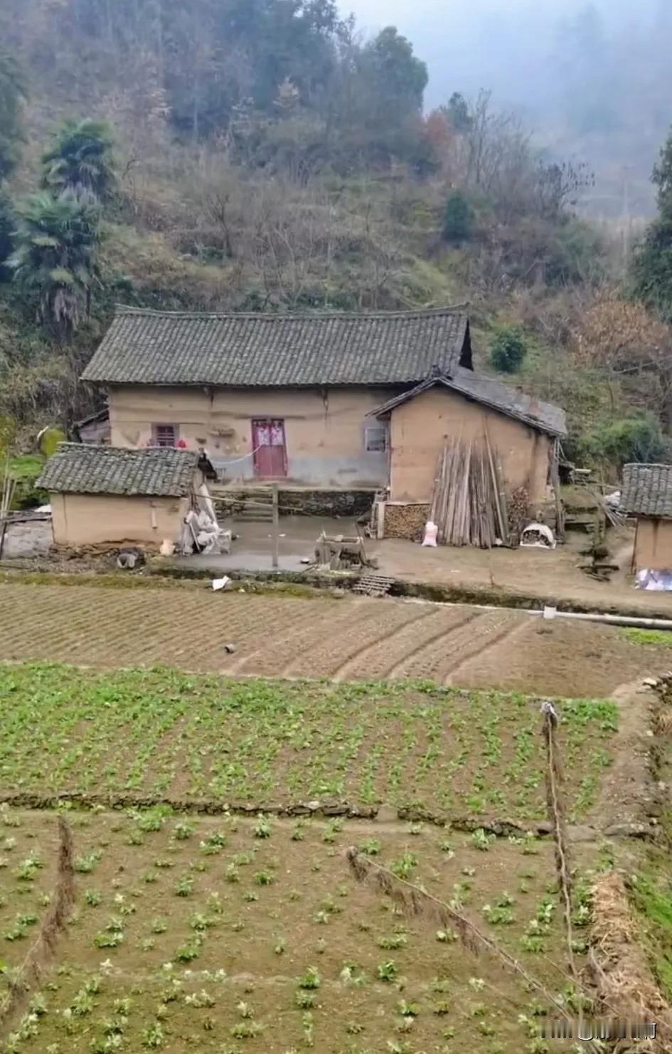 残门锈锁久不开，
院内墙地覆干苔。
无名枯草长院中，
青藤依旧缠边角。
也曾父母