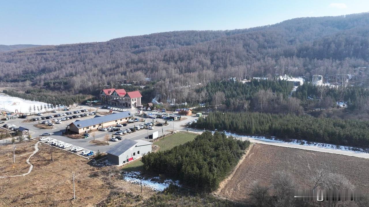 康乐县白桦林景区冰雪盛宴倒计时，造雪机隆隆作响，细碎雪粒如琼花般洒向枝头林间，工