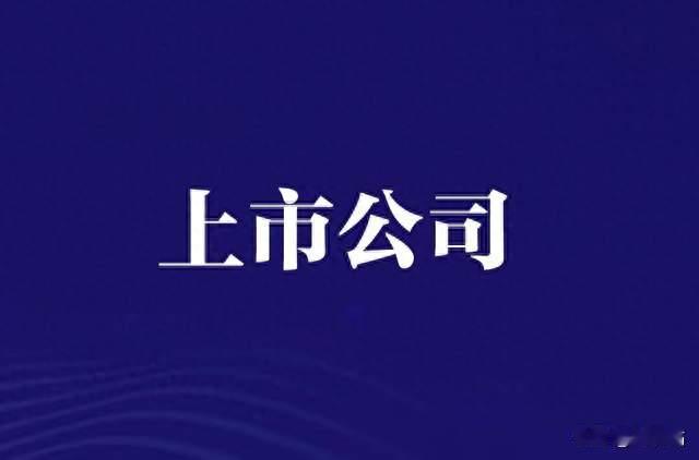 AI算力租赁只是第一步：重新理解国联股份的产业互联网布局