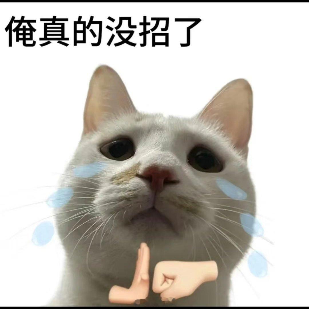 天津津门虎vs成都蓉城 开场10分钟，王献钧进球了