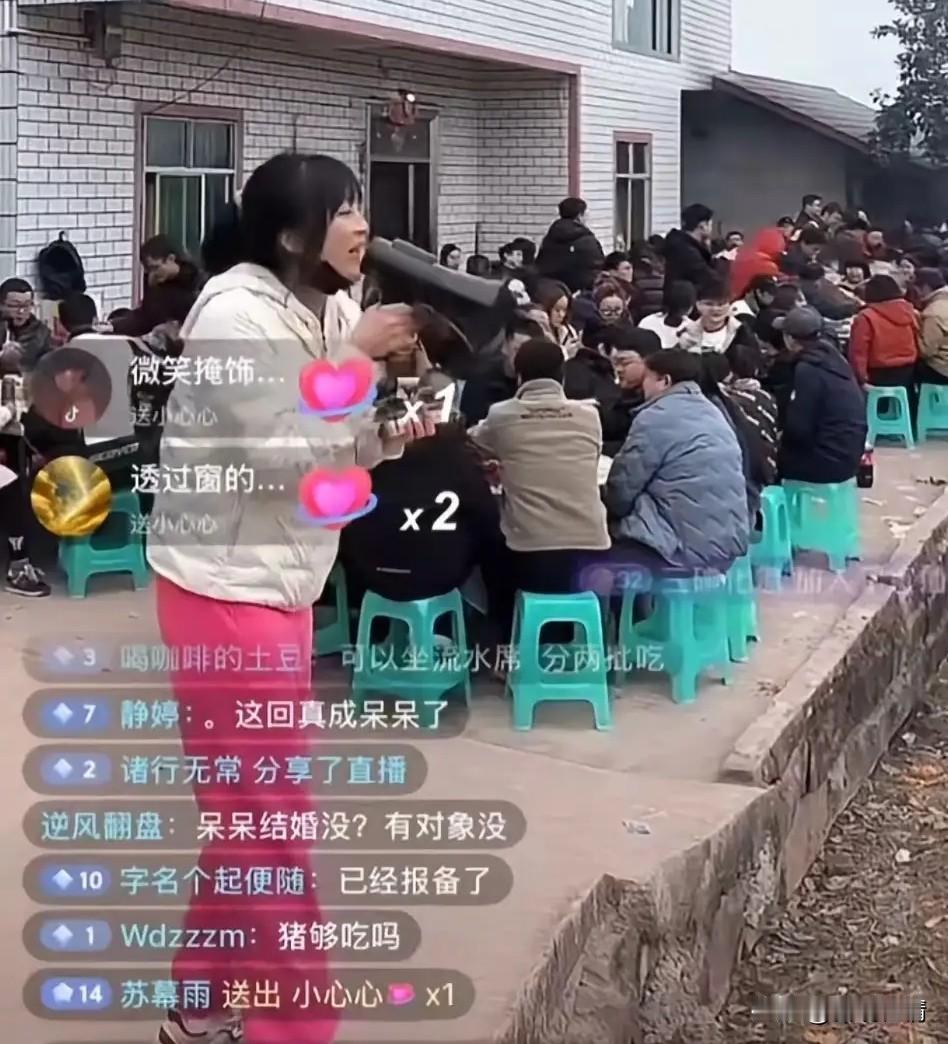 难以置信！两头猪引发的“盛况”，上千人来捧场，呆呆账号粉丝一天增加30万。网友：