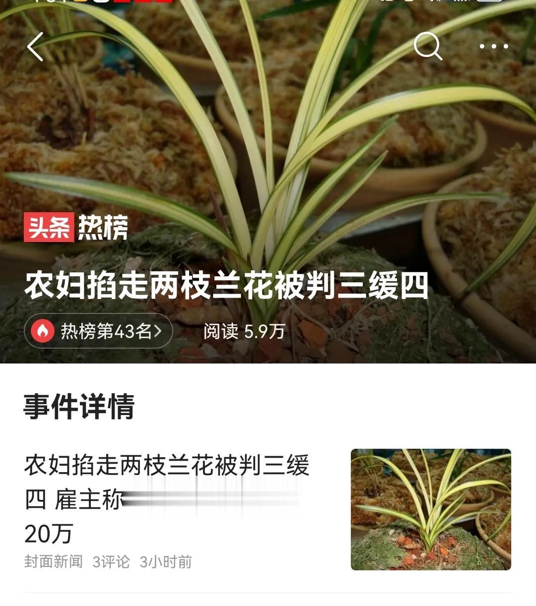 掐走两枝兰花茎，被以盗窃罪判三缓刑四，判得重吗？
5月22日，河南桐柏县的金某在