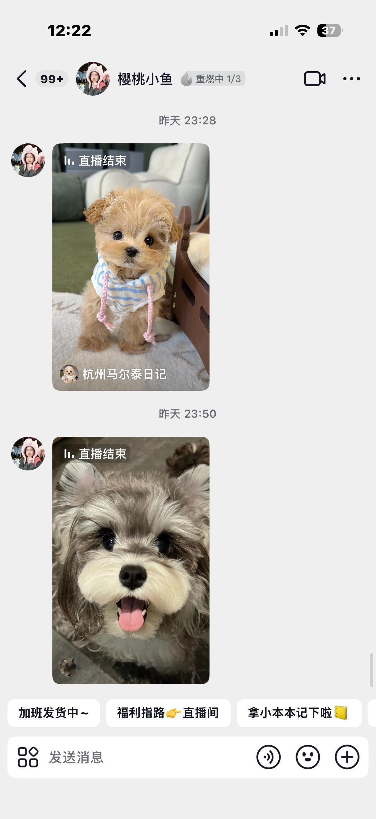 拆姐最近超级想养狗，半夜都在看小狗