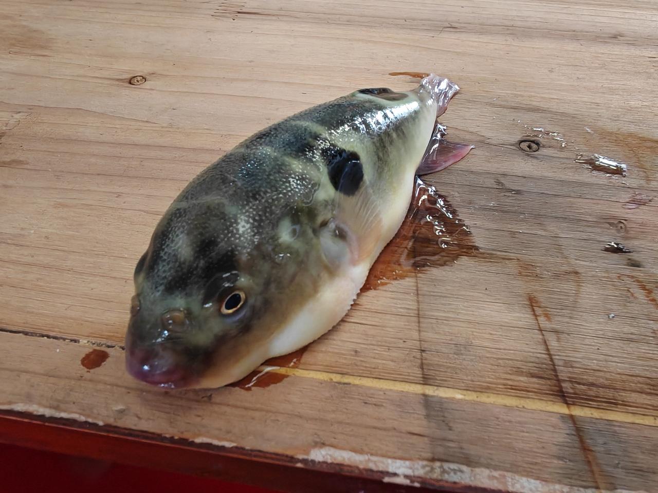 奥8八场
“无话可说”四场
战车直接急刹
……
背后是不是有人打招呼呢？