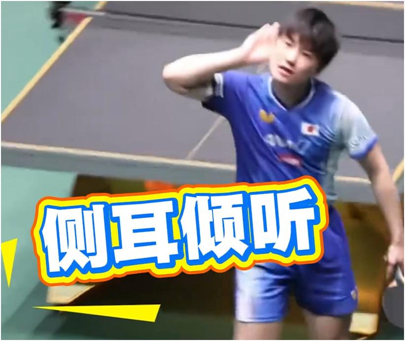 张本智和这家伙真是分不清轻重啊，赢球后挑衅现场观众。松岛辉空都知道说是在各种关系