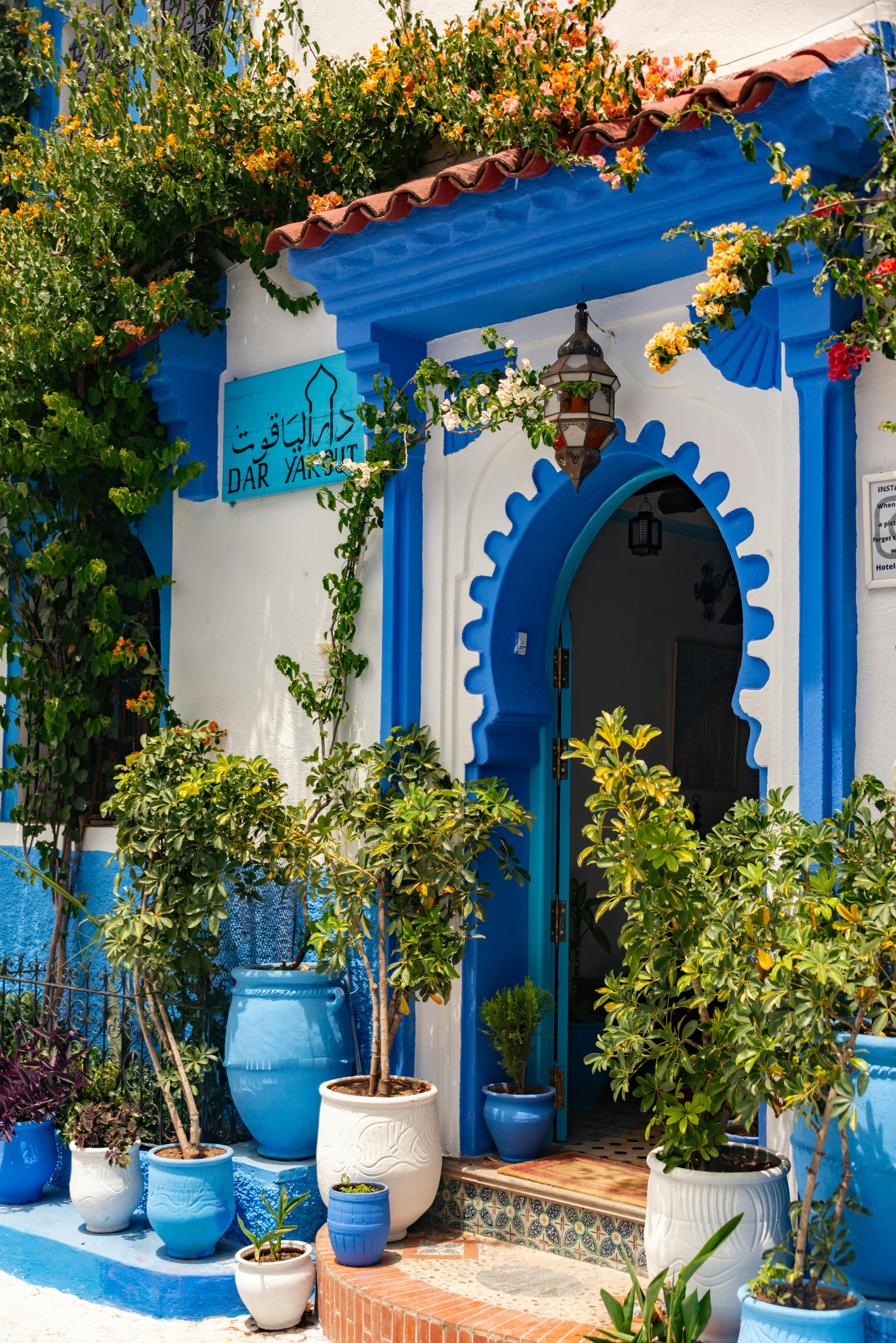 老规矩，睡前一更。明日甲辰  庚午  戊申。一个比较活泼和热情的日课，感觉还是不