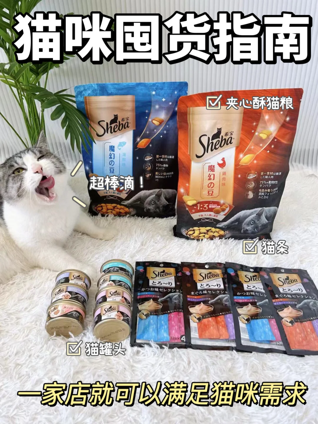 希宝承包了我家猫咪的饮食起居