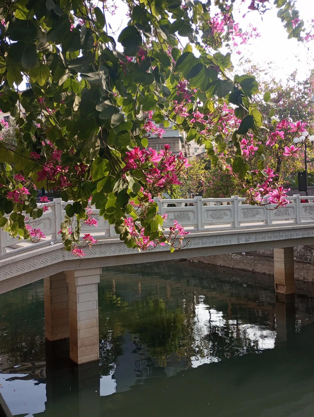 海珠涌十香园段之美花城广州岭南画派发源地醉美岭南水乡花城广州广州海珠区历史文化 