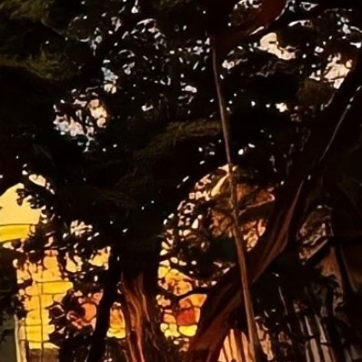 人生没有白走的弯路，所有坎坷都是历练，守住初心不放弃，咬牙熬过低谷，往后皆是坦途