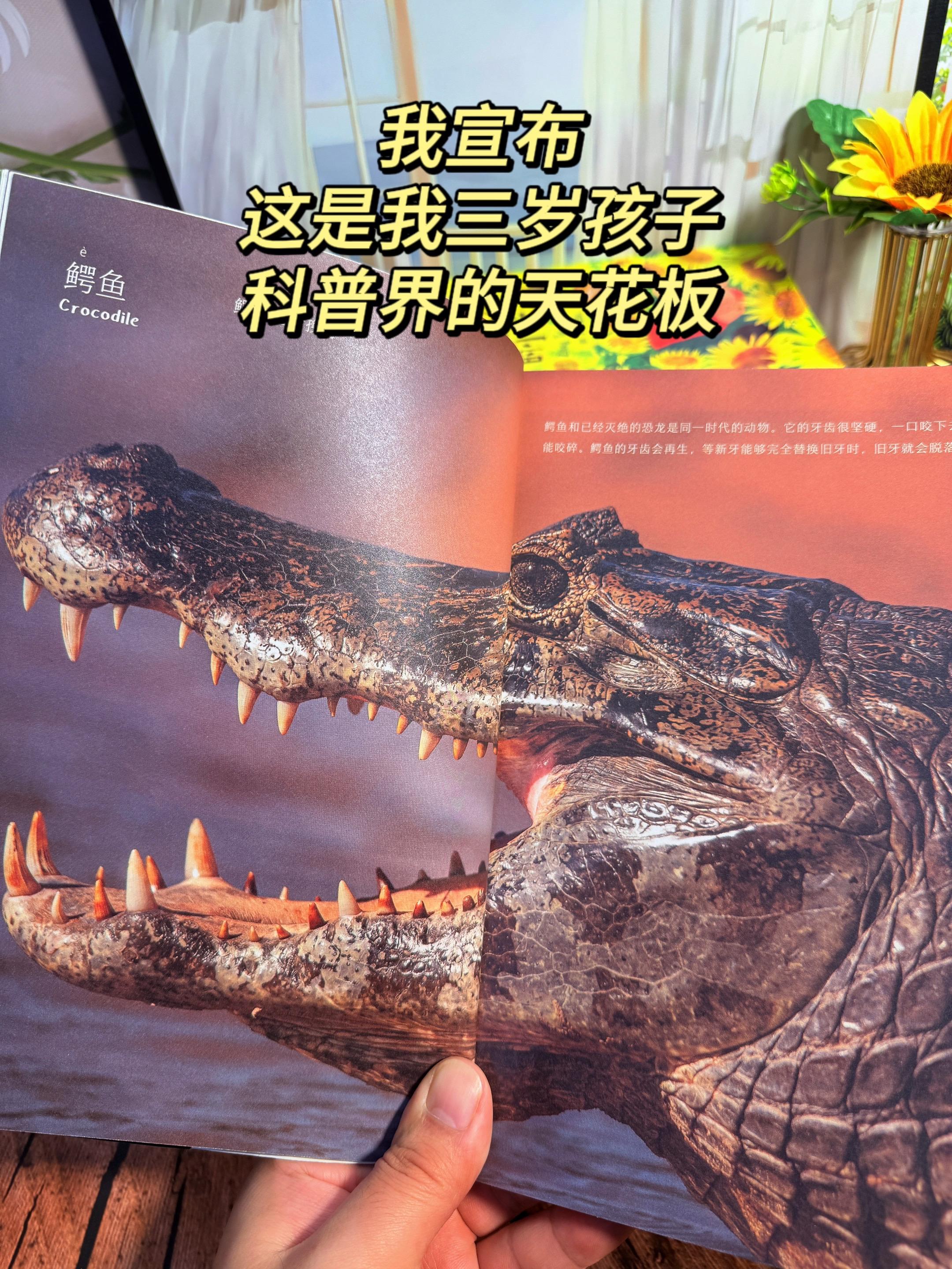 儿童纸上纪录片。谢谢你，让我3岁儿子认识200多种动植物！高清自然百科...