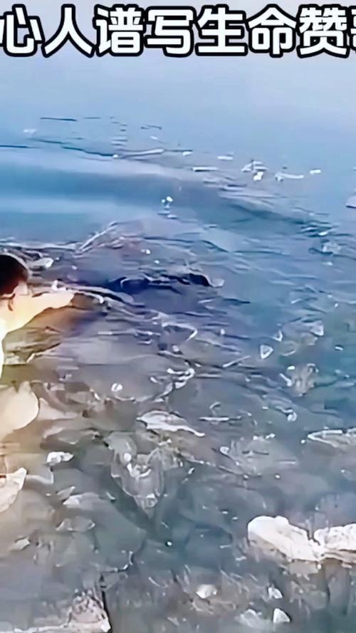 泪目！辽宁26岁大学生冰河救人牺牲，日记8字誓言照见一生大爱
 
家人们，这个冬