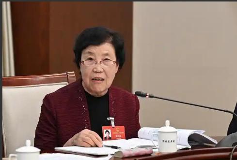 八十岁的农民代表郭凤莲，就因为在两会上说农民养老金太低，被一群连"议案"和"建议