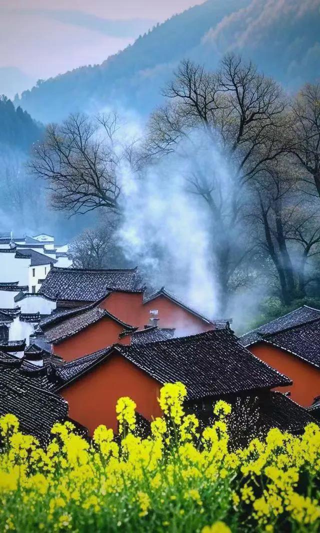 ◆炊烟是村庄的根须

作者: 黄永强

都说根往土里钻
我却看见炊烟的根
往天上