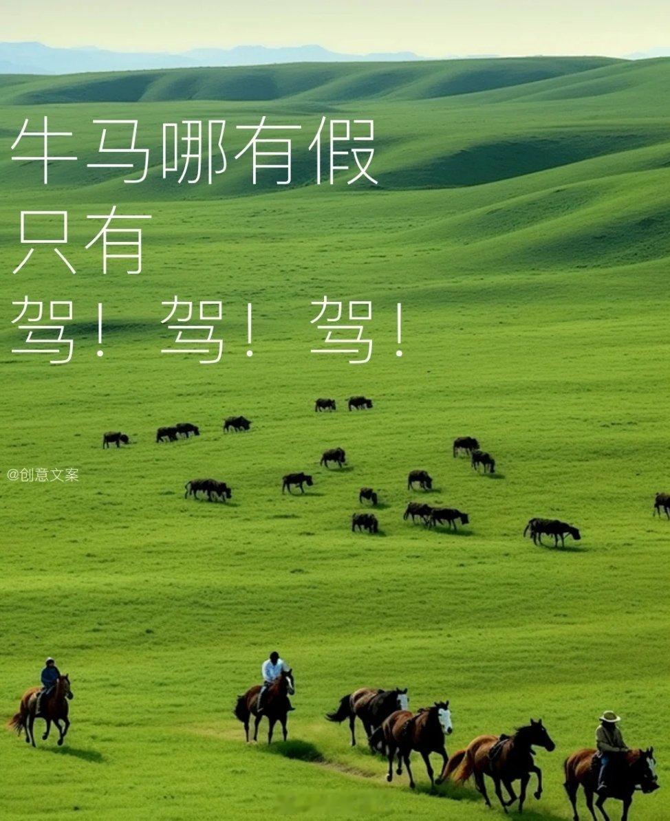 2024余额已不足10天 我，要去“驾驾驾”了～！！图！突然想起琼瑶阿姨的主题曲