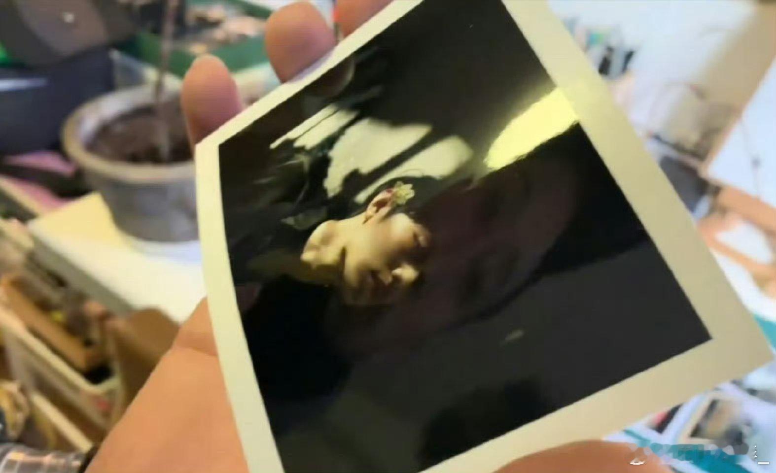 肖战拍的撕拉片我看过这组照片很好看有一张肖战坐在房顶的谁有肖战｜肖战[超话] ​