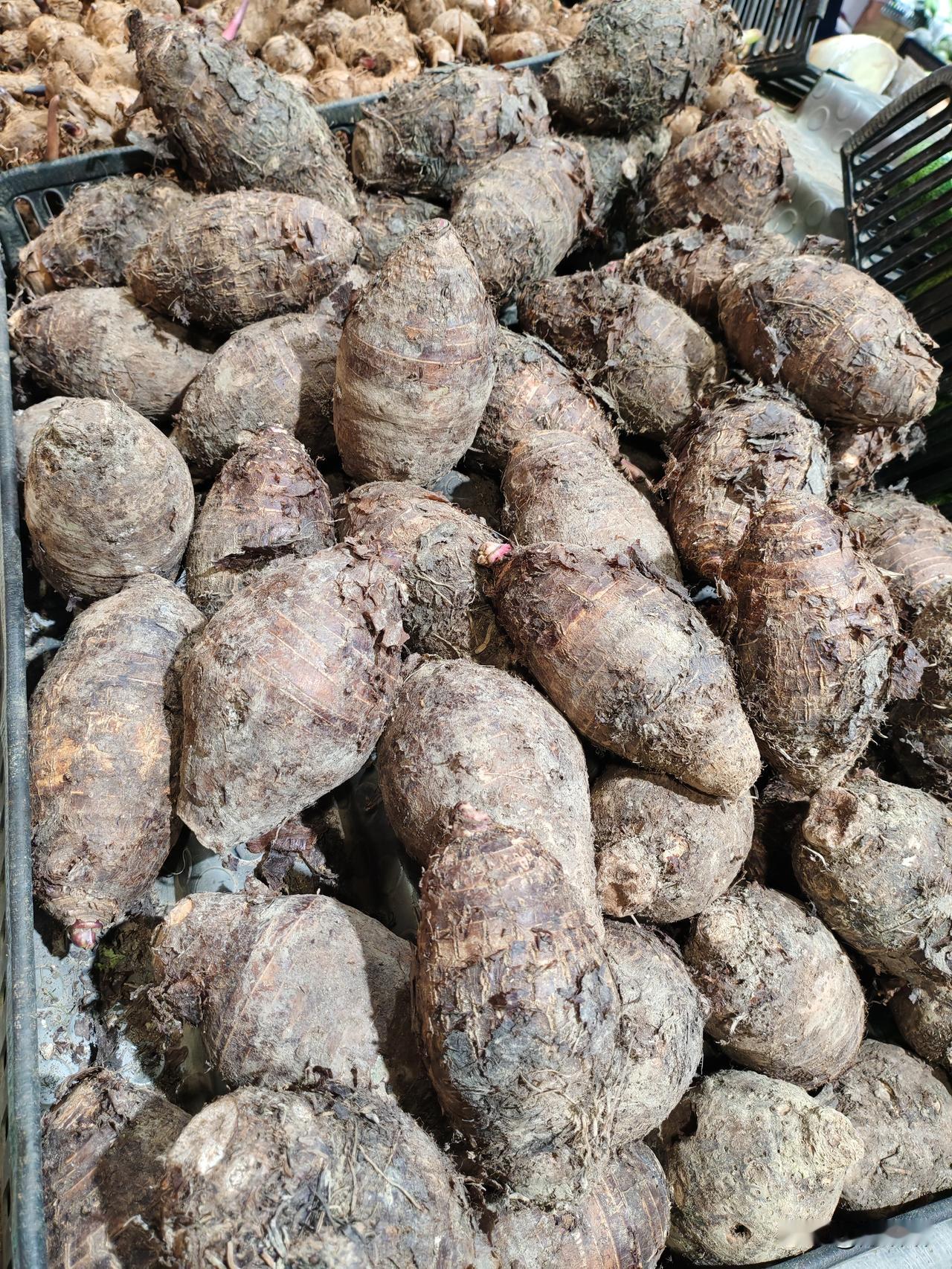 广东的朋友请讲一下，这个菜叫什么名字？第一次见