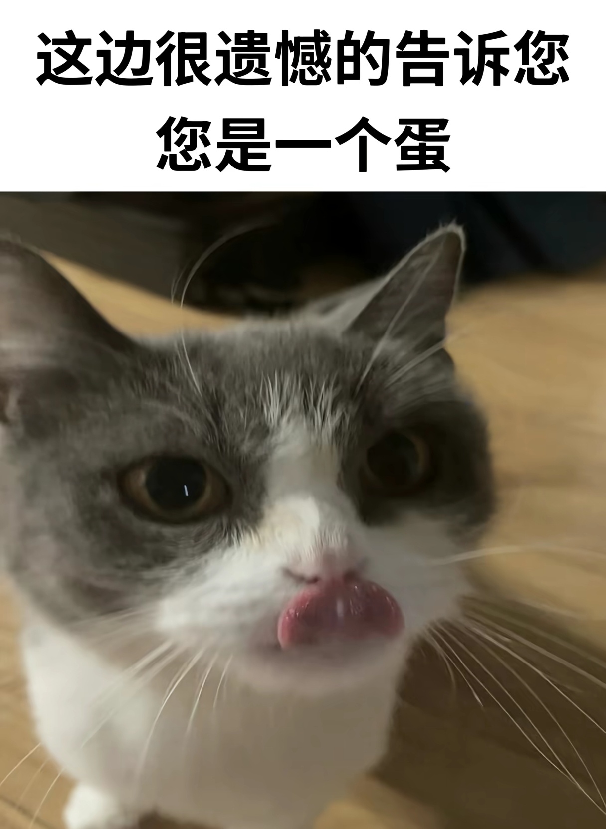 分享图片 