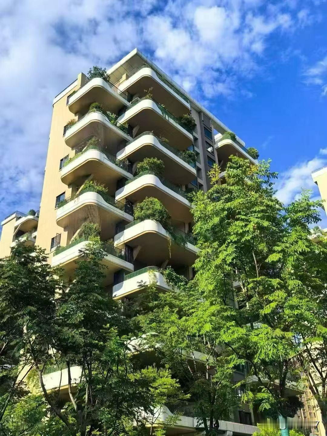 上世纪90年代初，从湖南来到四川上学，想到毕业后一定要回湖南去，即使生了孩子，也