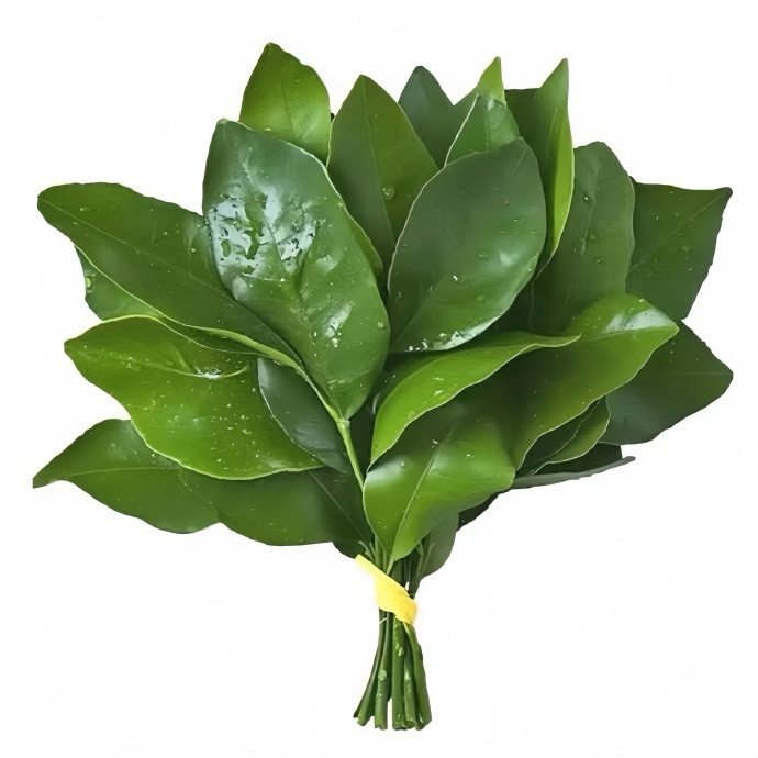 柚子叶头像🍃点赞去晦气! ​​​