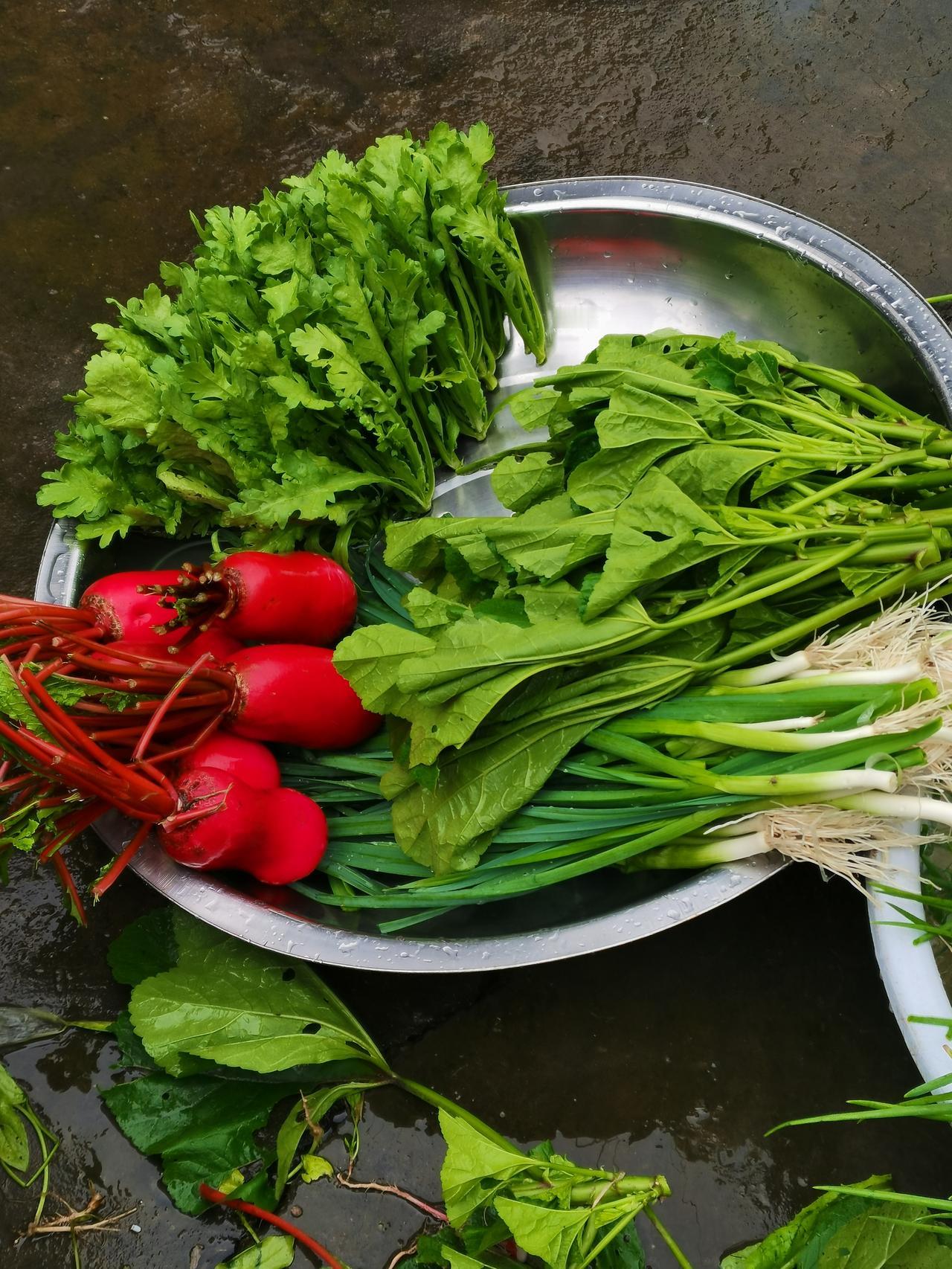 不知道大家回娘家是不是这样
大包小包的纯天然食品
咱又是回娘家当土匪的一天