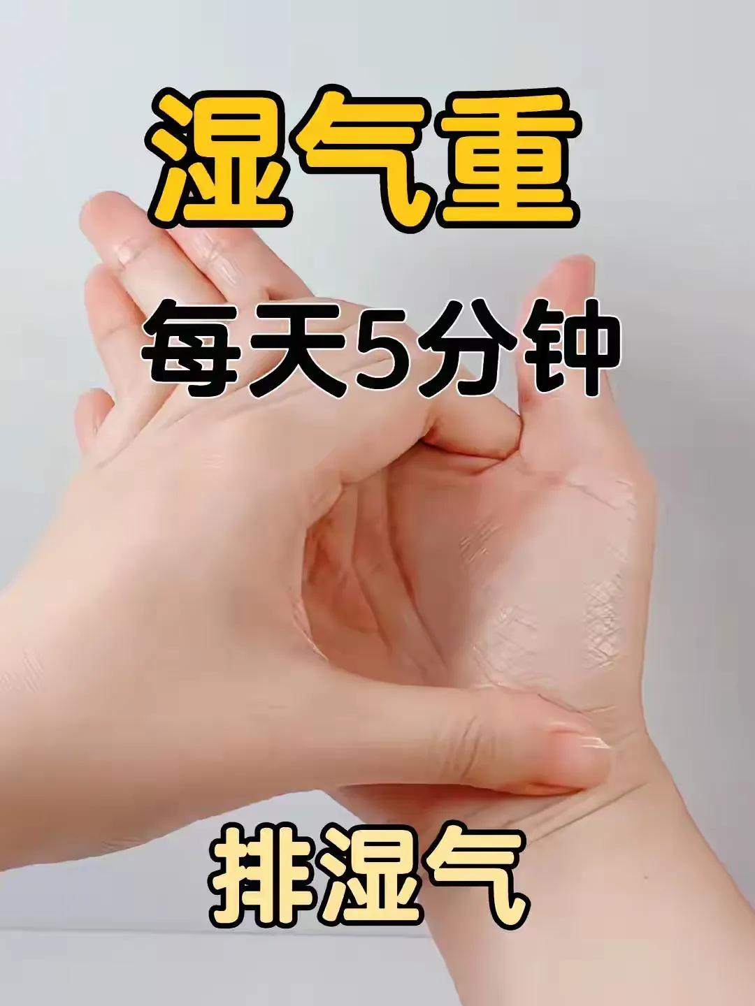 每天5分钟，排湿不用愁！
#中医养生# #健康科普# #中医健康#