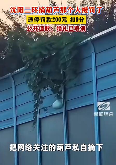 “又狂又蠢！”沈阳一男子手欠摘走二环900万人守护的大葫芦，不仅搅黄了自己的婚礼
