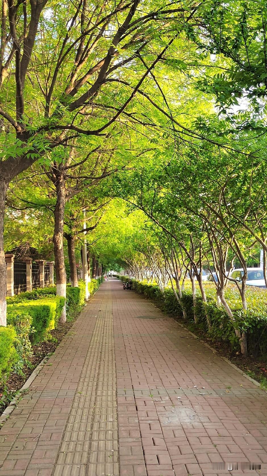 经常生气，会生病吗？
        我认为会的，中医常说百病生于气，爱生气、常