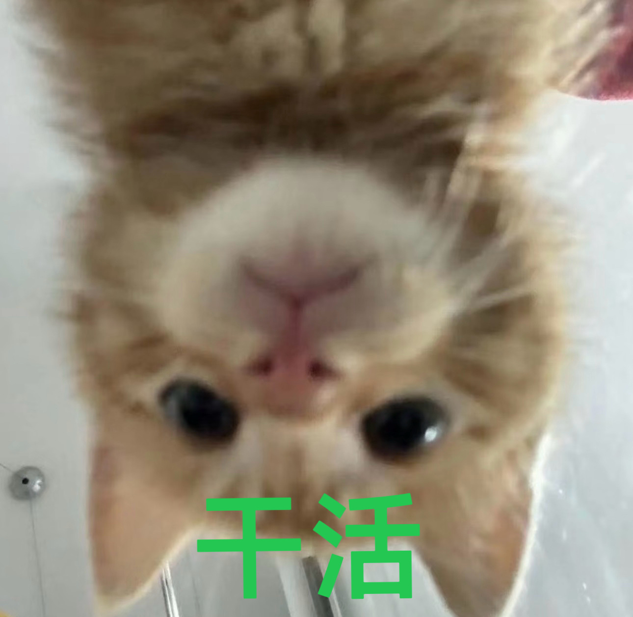 周三任务重，看到就切浩动起来1️⃣领福袋！助力超话🔥度找一个关注/互关的，选一