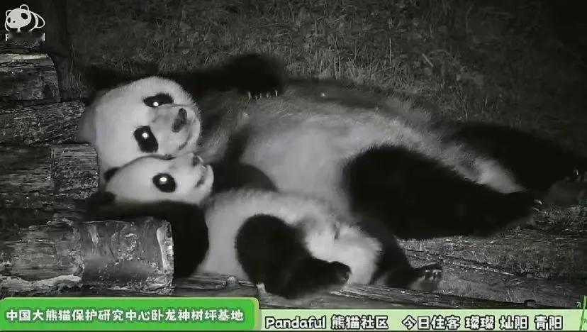 和妈妈躺在床上说悄悄话 ​​​