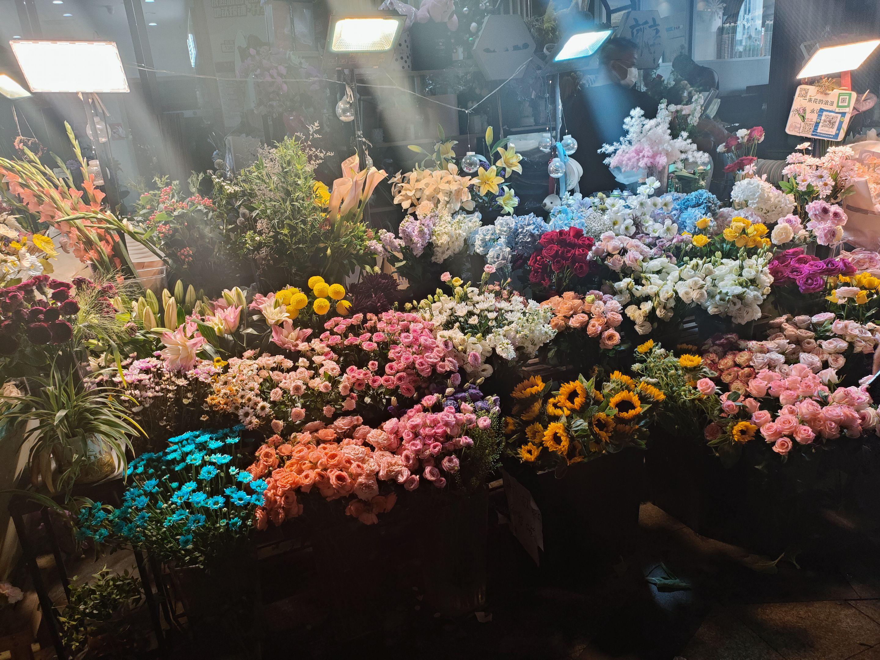 鲜花 浪漫不死