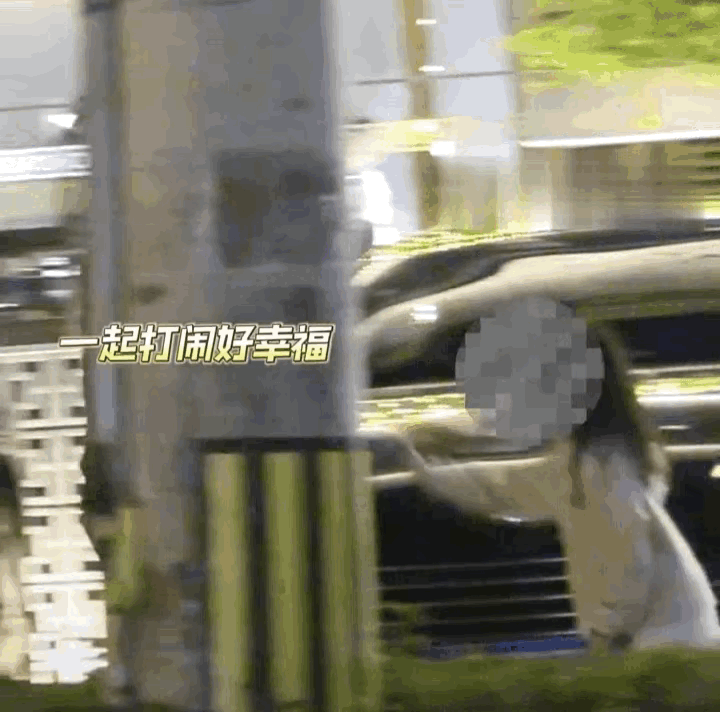 #董子健和女儿街头玩耍#孩子爸爸带娃很正常吧，怎么说呢，董子健和孙怡公布离婚的时