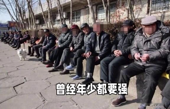 稀里糊涂的就加入晒太阳一族，我本是拥有A1A2驾照的老司机，驾驶经验丰富。驾过公