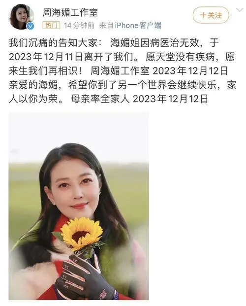 星芒陨落一年间，海媚倩影心中念