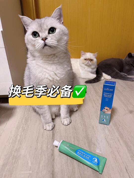 换毛季要来了化毛膏赶紧安排上